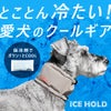 IDOGICEHOLDネッククーラー保冷剤付