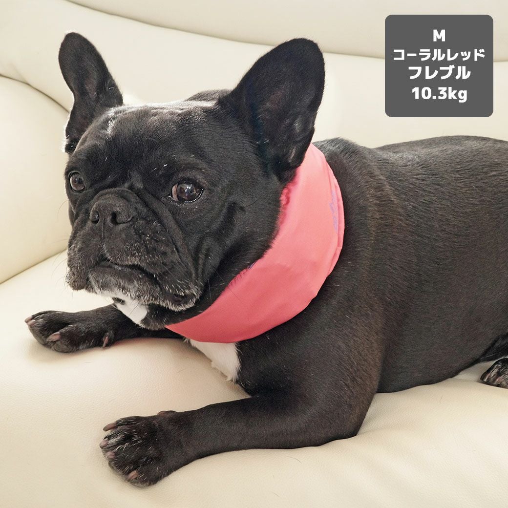 フレブル10.3kg(首38/胴56/丈34cm)のP?cheちゃんはコーラルレッドのMを着用