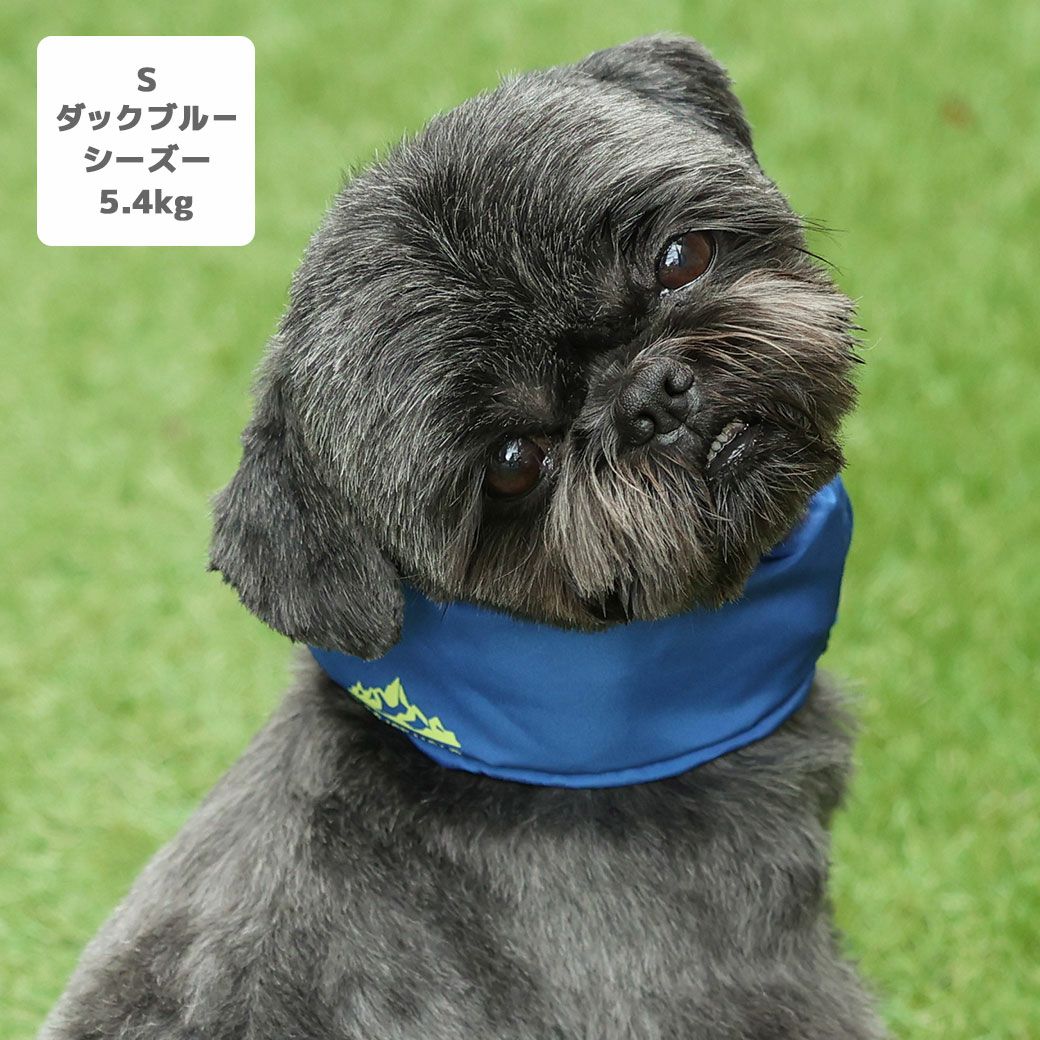 シーズー5.4kg(首26/胴38/丈38cm)のつぶくんはダックブルーのSを着用