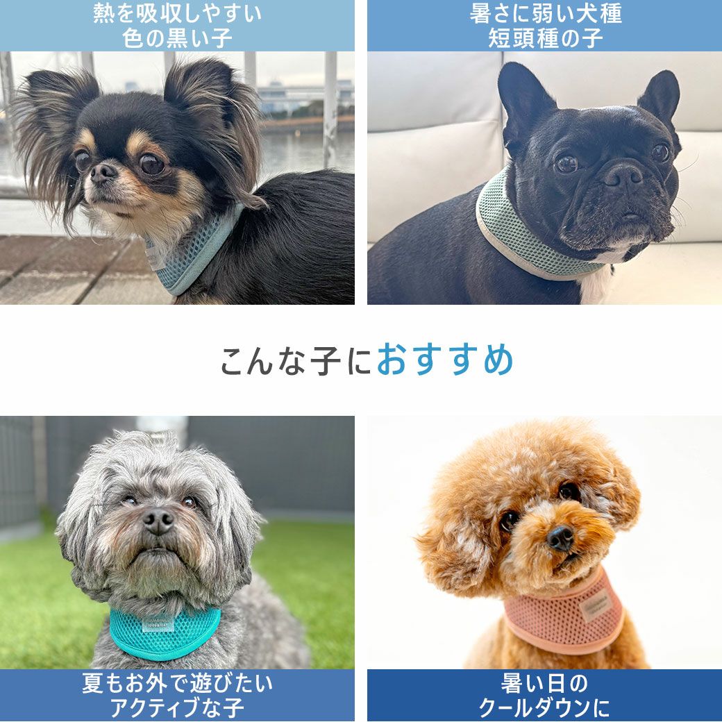 iDog AQUA HOLD リフレッシングバンダナ アイドッグ-犬猫用品通販