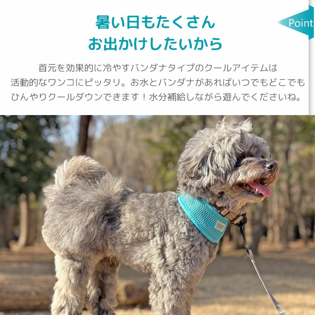 iDog AQUA HOLD リフレッシングバンダナ アイドッグ-犬猫用品通販