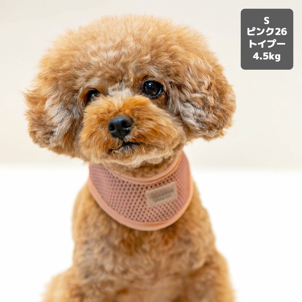 iDog AQUA HOLD リフレッシングバンダナ アイドッグ-犬猫用品通販