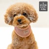 トイプードル4.5kg(首26/胴40.5/丈30cm)の里梨衣ちゃんはピンク26のSを着用