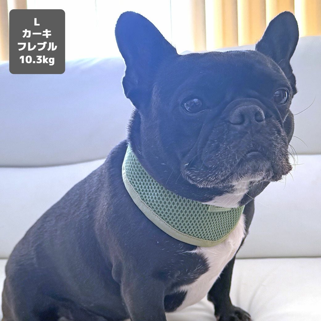iDog AQUA HOLD リフレッシングバンダナ アイドッグ-犬猫用品通販