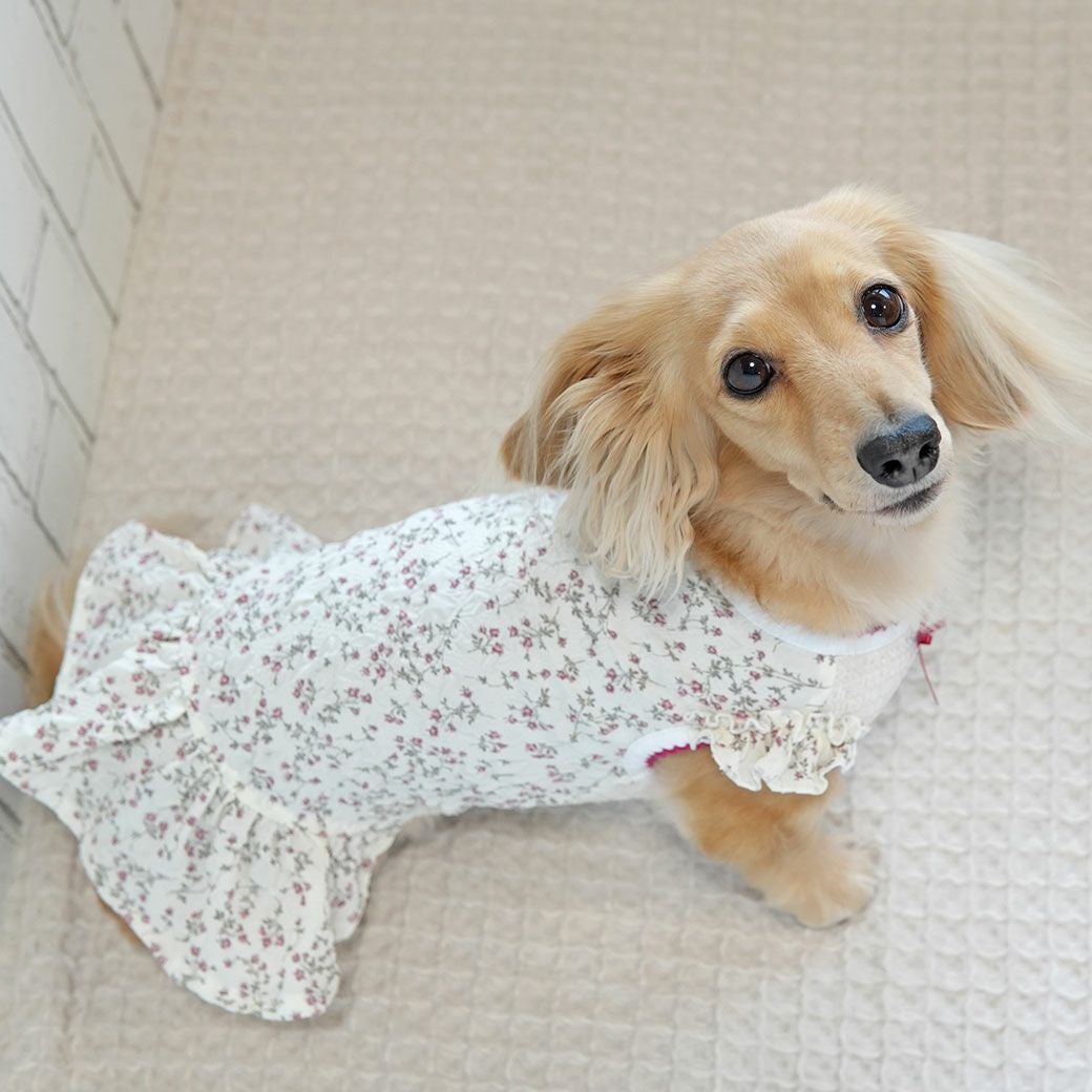 iDog 小花柄フリル付きタンク iDog fleur アイドッグ-犬猫ペット用品