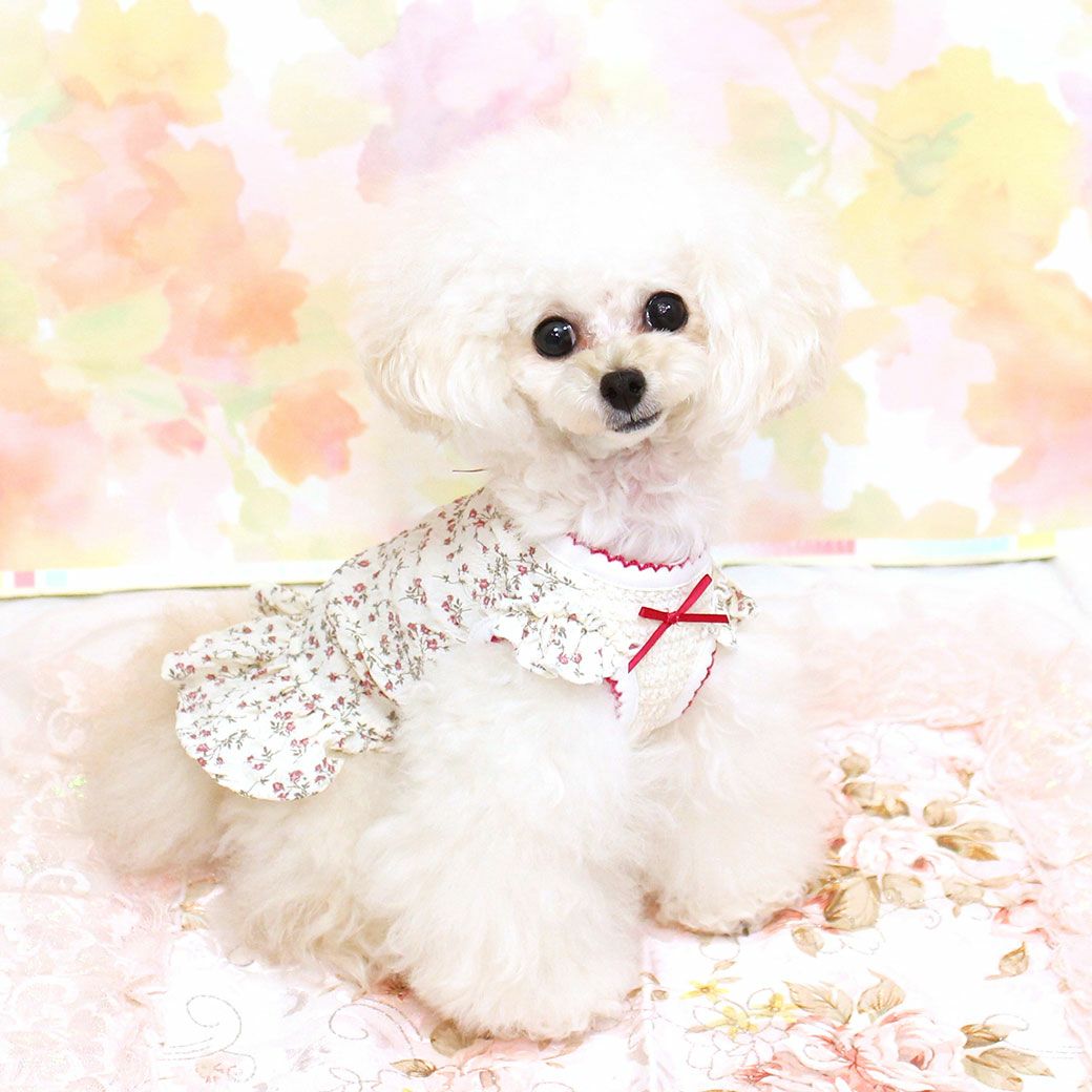 iDog 小花柄フリル付きタンク iDog fleur アイドッグ-犬猫ペット用品