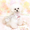 トイプー1.2kg(首15/胴26/丈19cm)のマユリちゃんはレッドのXSを着用