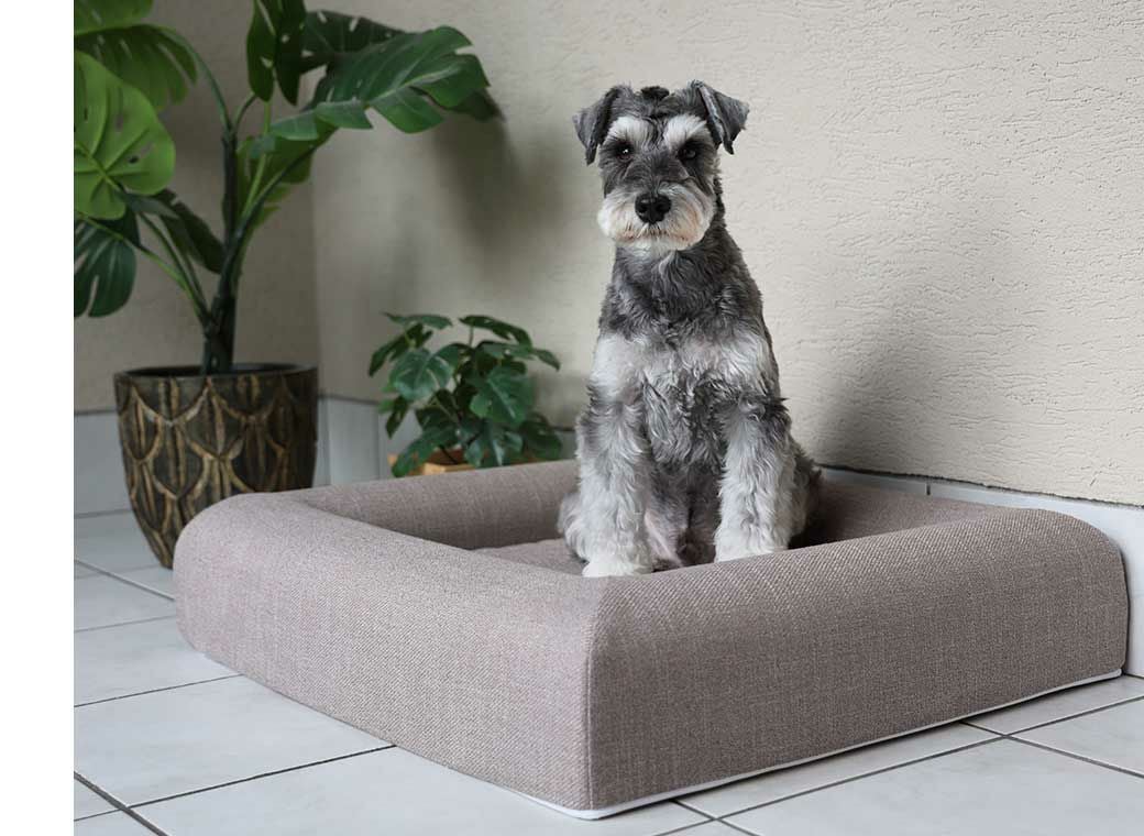 IDOG&ICAT レストキューブベッド Mサイズ アイドッグ-犬猫ペット用品