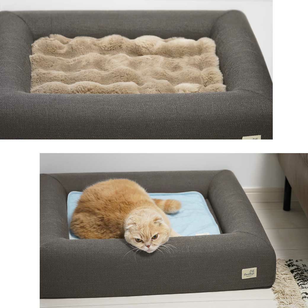 IDOG&ICAT レストキューブベッド Mサイズ アイドッグ-犬猫ペット用品
