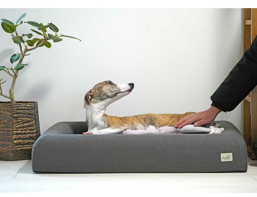 IDOG&ICAT レストキューブベッド Lサイズ アイドッグ-犬猫ペット用品