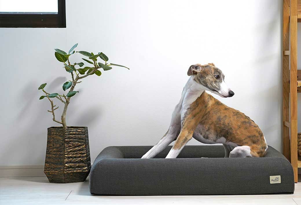 IDOG&ICAT レストキューブベッド Lサイズ アイドッグ-犬猫ペット用品