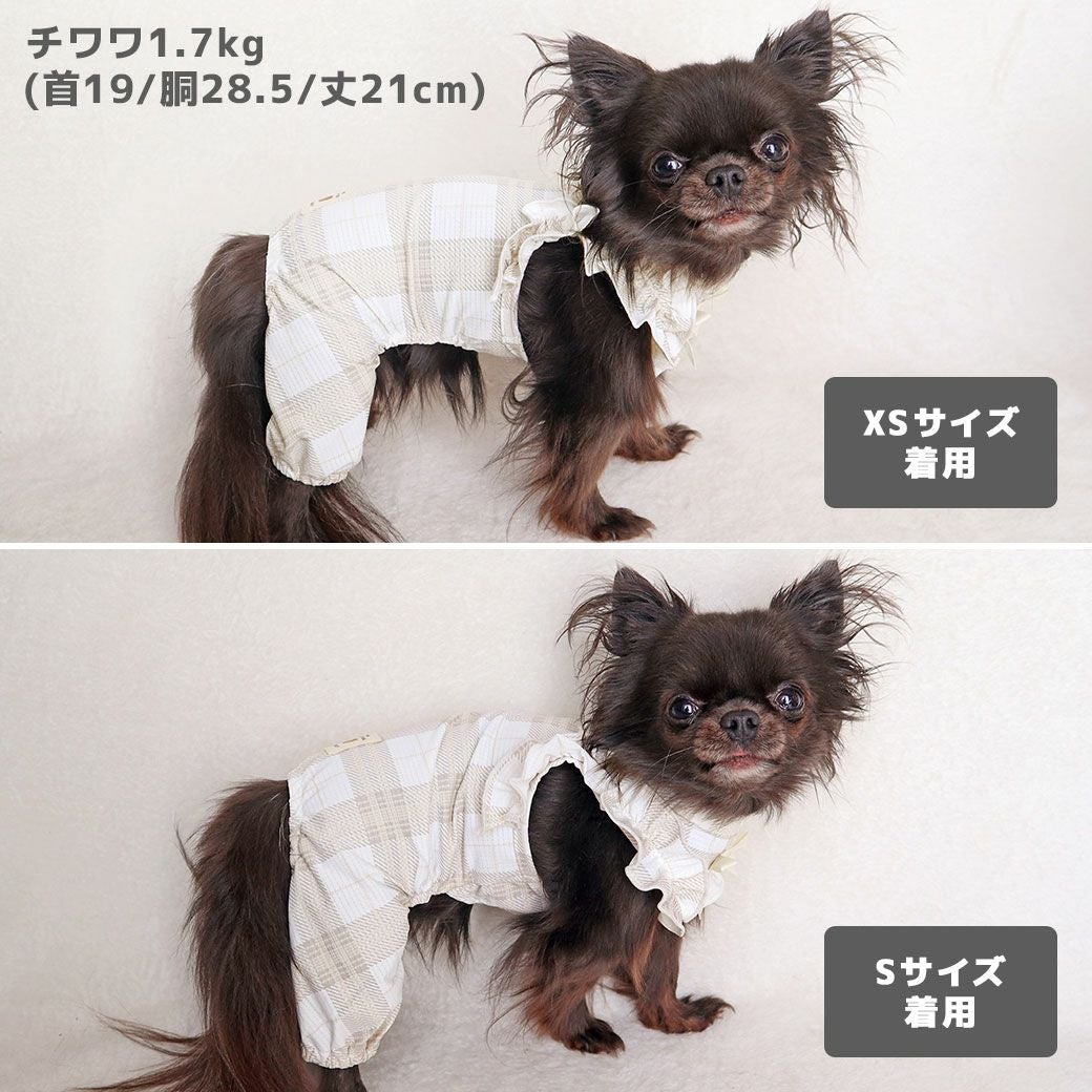 チワワ1.7kg(首19/胴28.5/丈21cm)の小桃ちゃんはチェックグレーのXSとSを着用