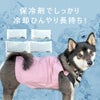 ひんやりを持ち運ぼう！安全なオリジナル保冷剤付