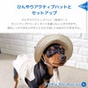 ひんやりアクティブハットとセットアップ