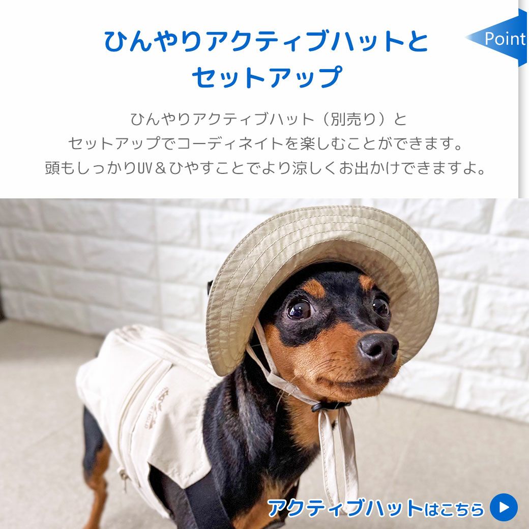 ひんやりアクティブハットとセットアップ