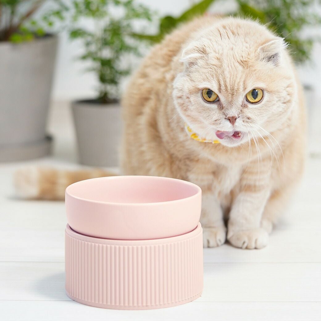 IDOG&ICAT pelpas ペルパ マットカラーシンプルフードボウル