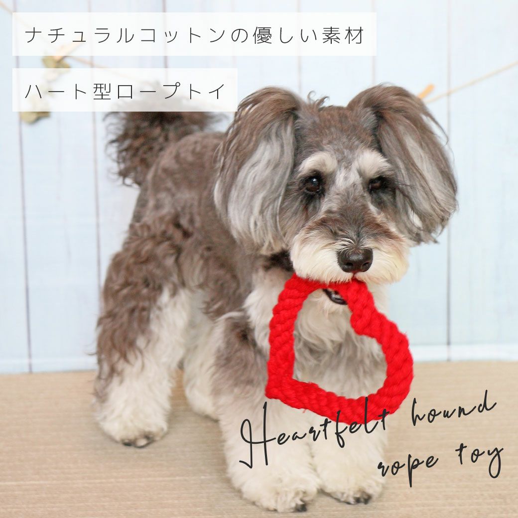 iDog ロープトイ ハート アイドッグ-犬猫ペット用品通販 IDOG&ICAT