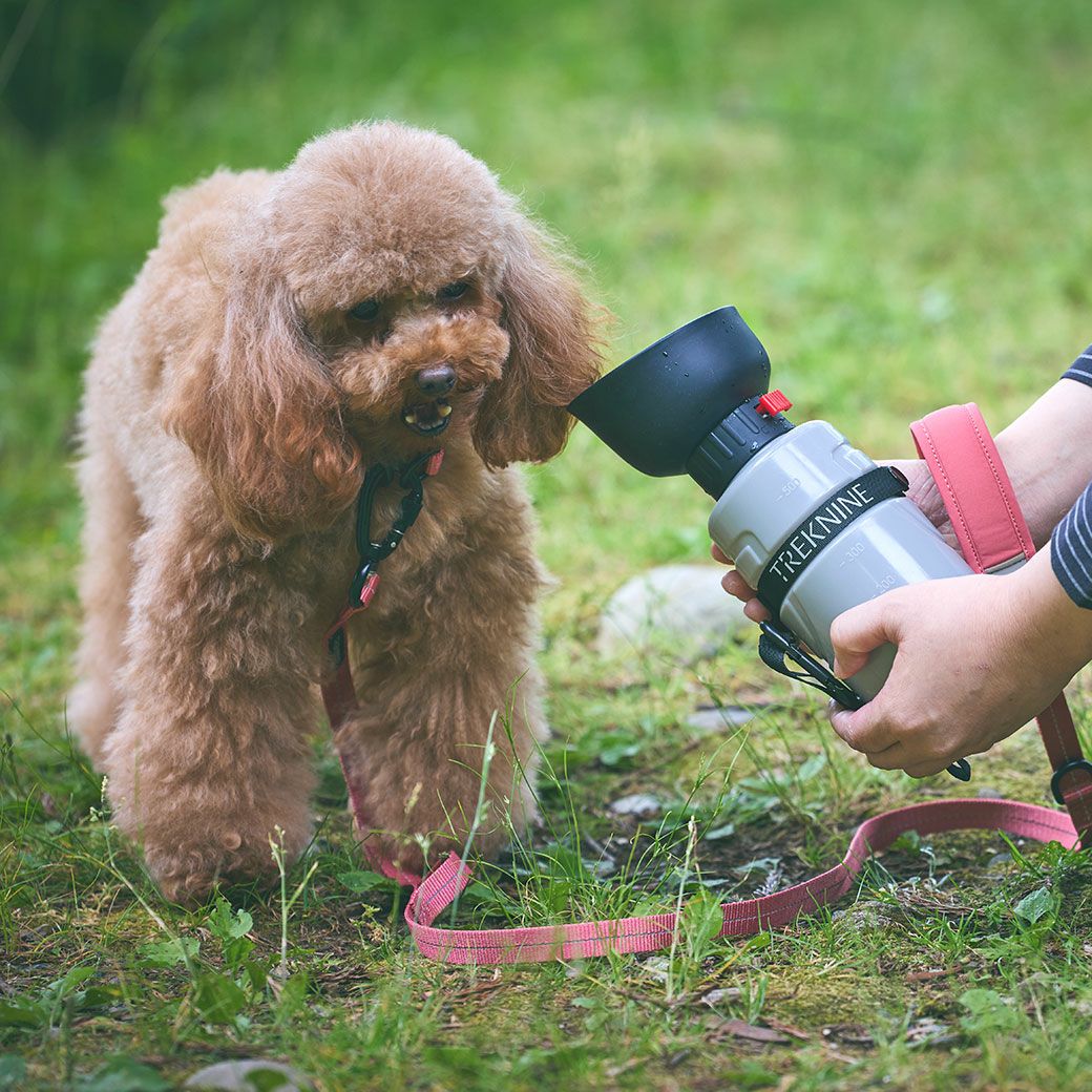 iDog TREKNINE FOLDABLE PET WATER BOTTLE 折りたたみ式給水ボトル