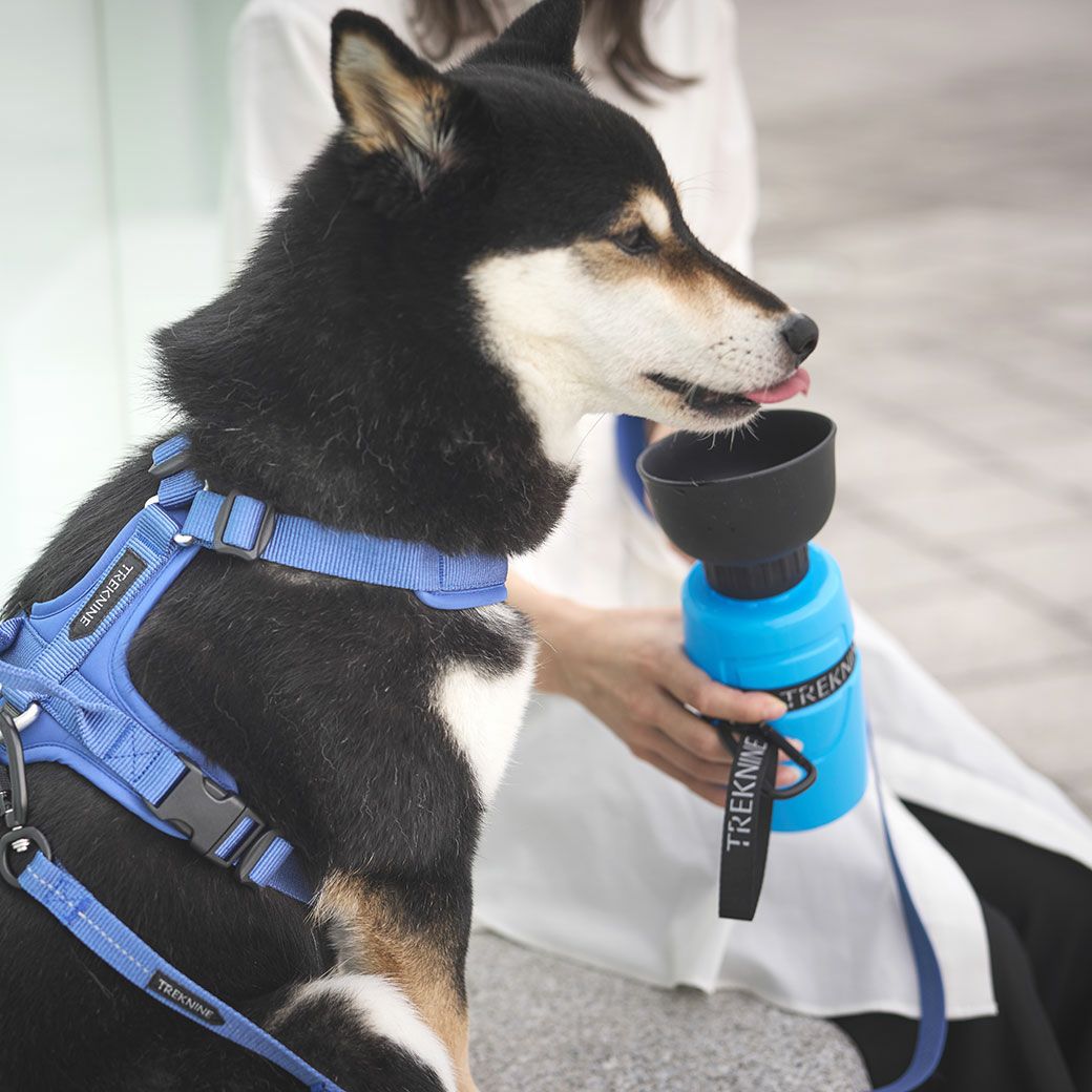 iDog TREKNINE FOLDABLE PET WATER BOTTLE 折りたたみ式給水ボトル