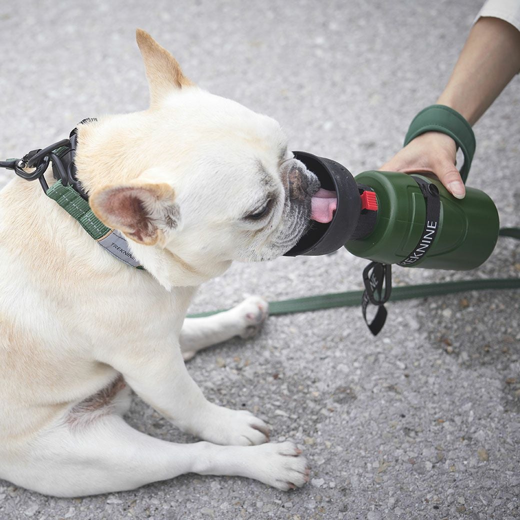 iDog TREKNINE FOLDABLE PET WATER BOTTLE 折りたたみ式給水ボトル
