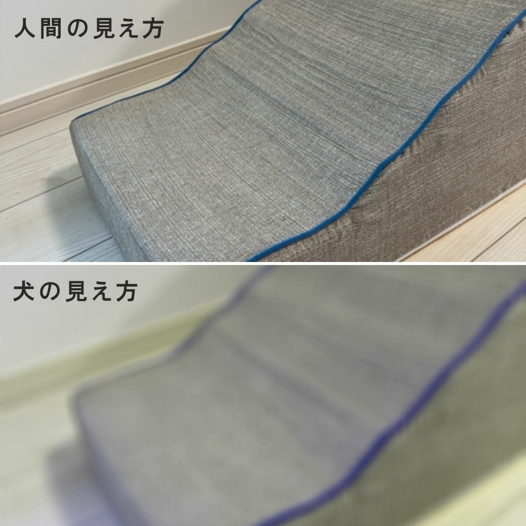 新品未使用　Eric& エリック＆アルバート　犬　イヌ　戴冠式 犬用首輪 EthicalDoor エシカルドア キャンプカラー M クリーム