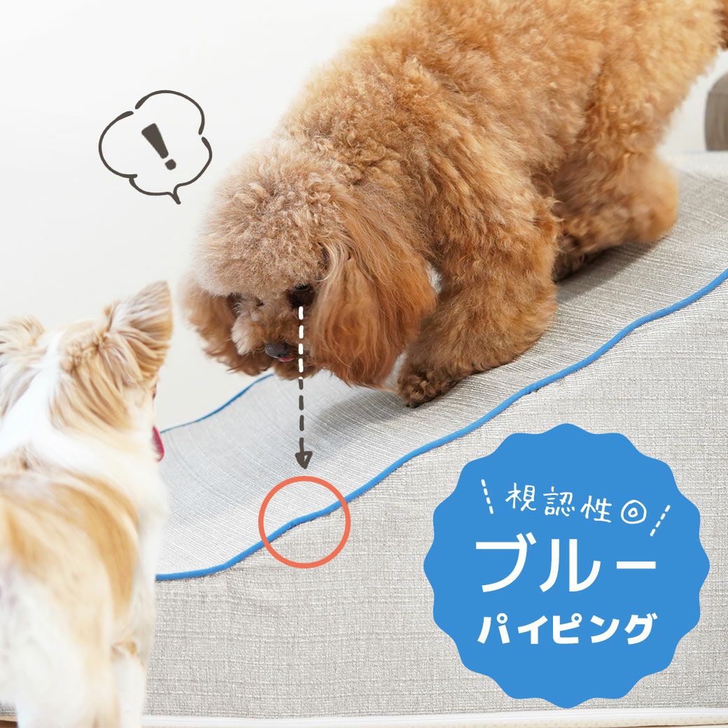 新品未使用　Eric& エリック＆アルバート　犬　イヌ　戴冠式 iDog たためるiStep WoofLens 2段 アイドッグ-犬猫ペット用品通販