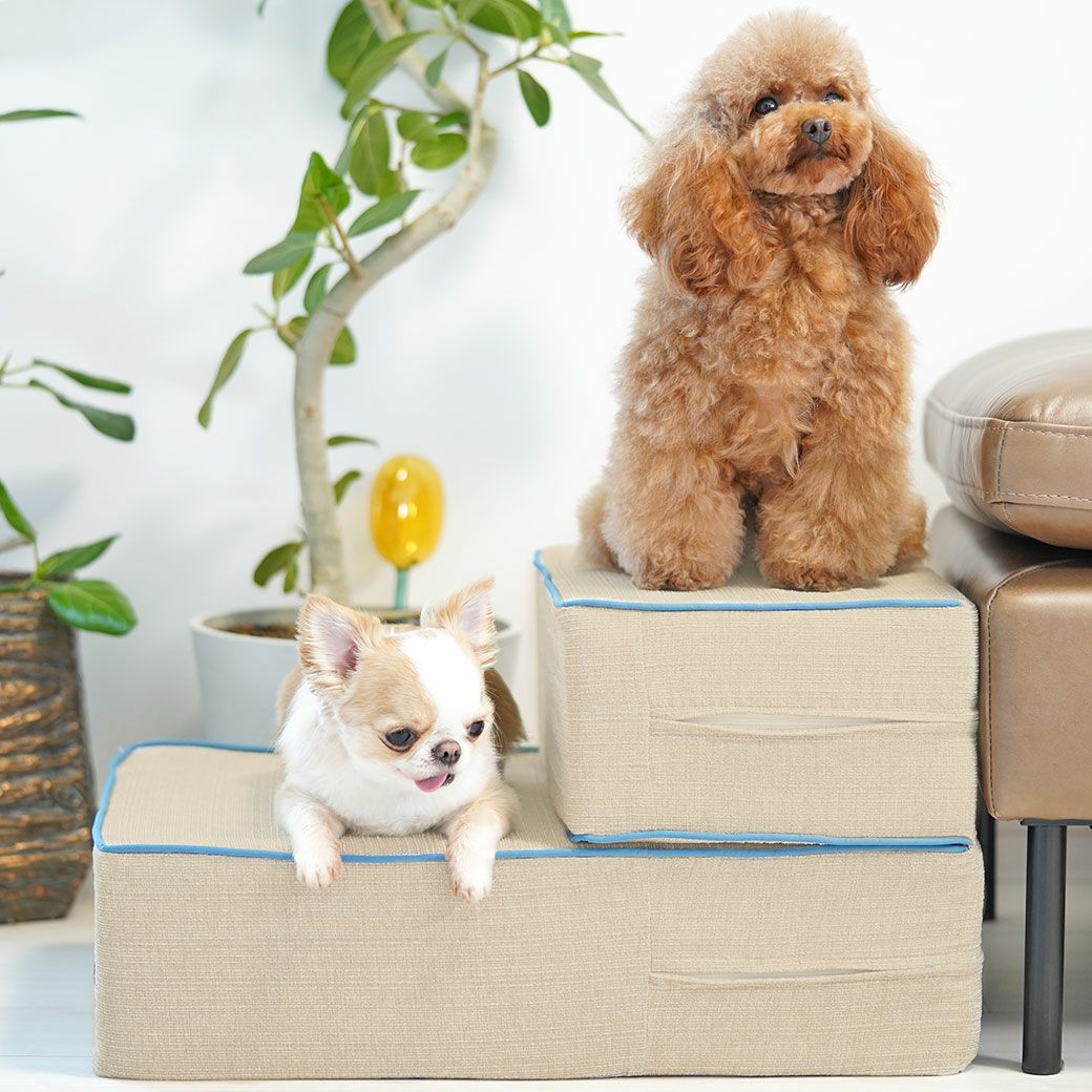 iDog たためるiStep WoofLens 2段 アイドッグ-犬猫ペット用品通販