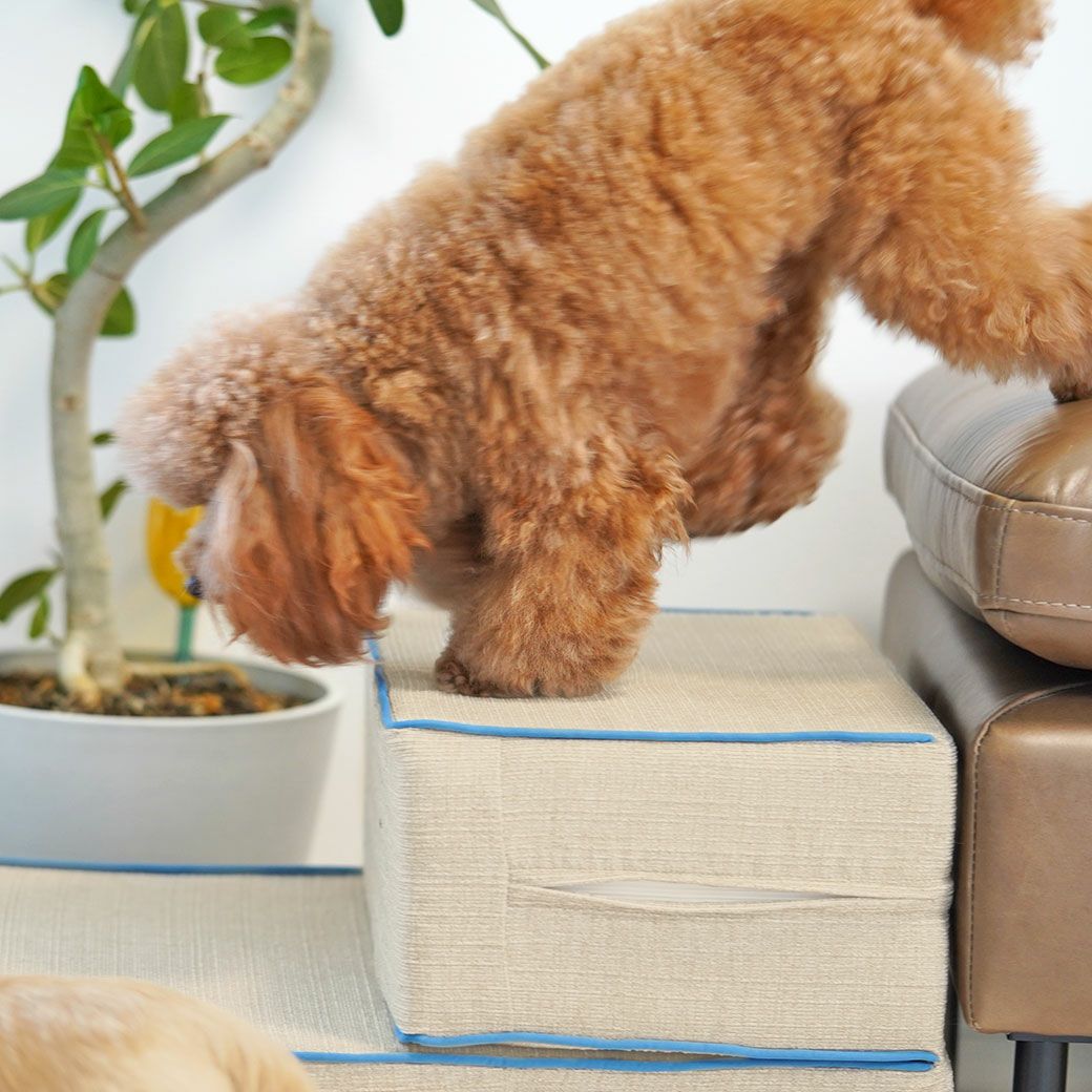 iDog たためるiStep WoofLens 2段 アイドッグ-犬猫ペット用品通販