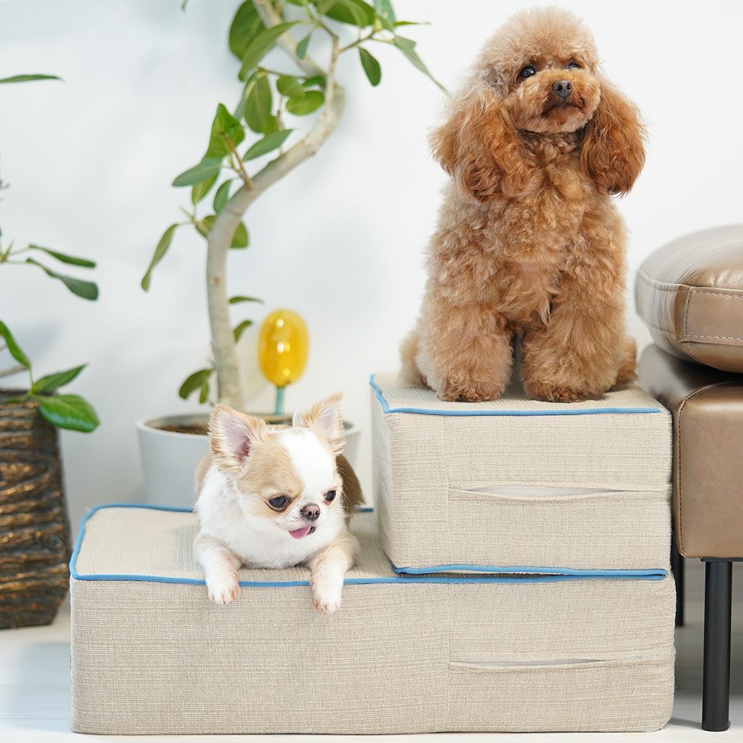 iDog たためるiStep WoofLens 2段 アイドッグ-犬猫ペット用品通販