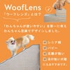 ウーフレンズとは