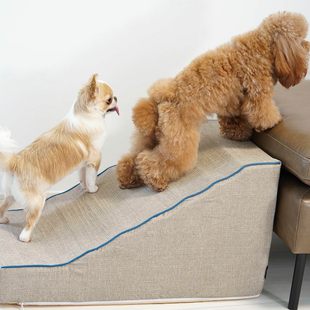 iDog iStep WoofLens スロープステップ アイドッグ-犬猫ペット用品通販