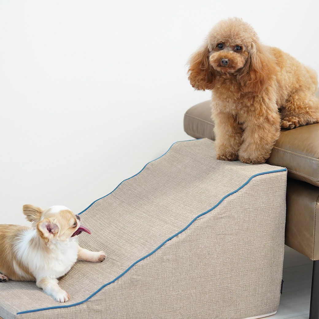 iDog iStep WoofLens スロープステップ アイドッグ-犬猫ペット用品通販