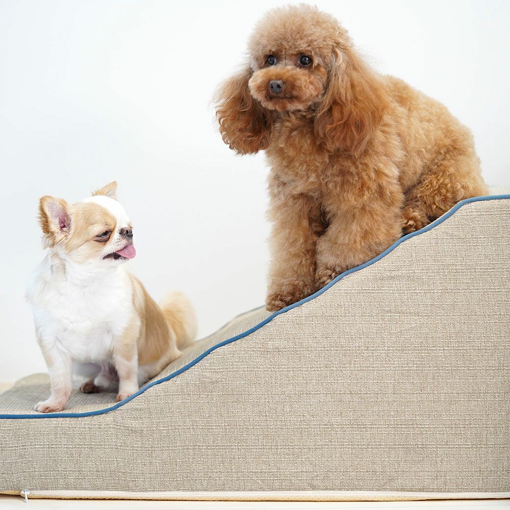 iDog iStep WoofLens スロープステップ アイドッグ-犬猫ペット用品通販