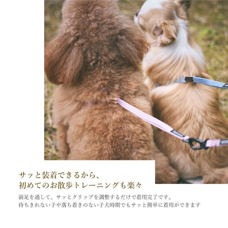 iDog TREKNINE|ハーネス|イージーコンフォート 10mm幅反射リード付