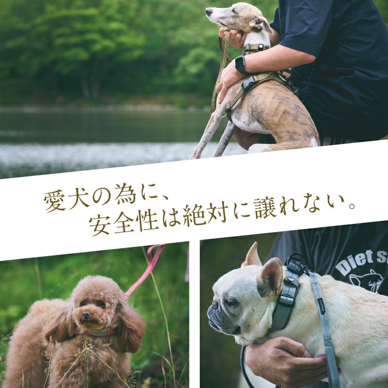 iDog TREKNINE|カラー|ダブルリングメッシュパッド XS/Sサイズ