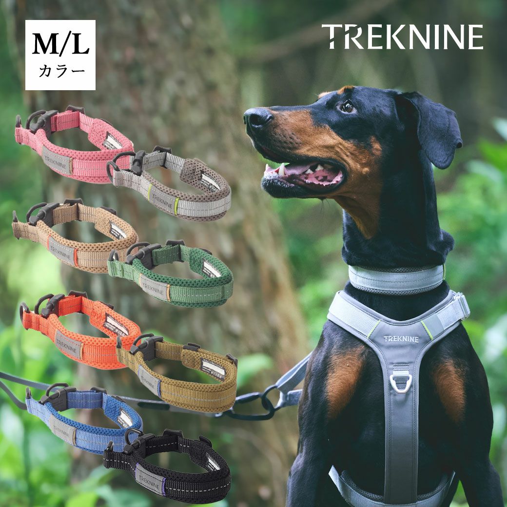 iDog TREKNINE|カラー|ダブルリングメッシュパッド M/Lサイズ トレック