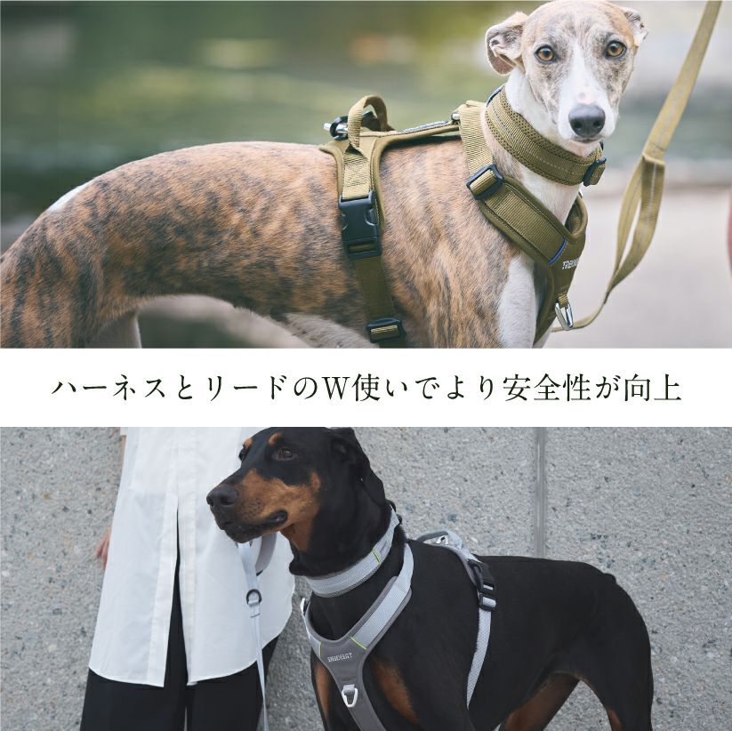 iDog TREKNINE|カラー|ダブルリングメッシュパッド M/Lサイズ トレック
