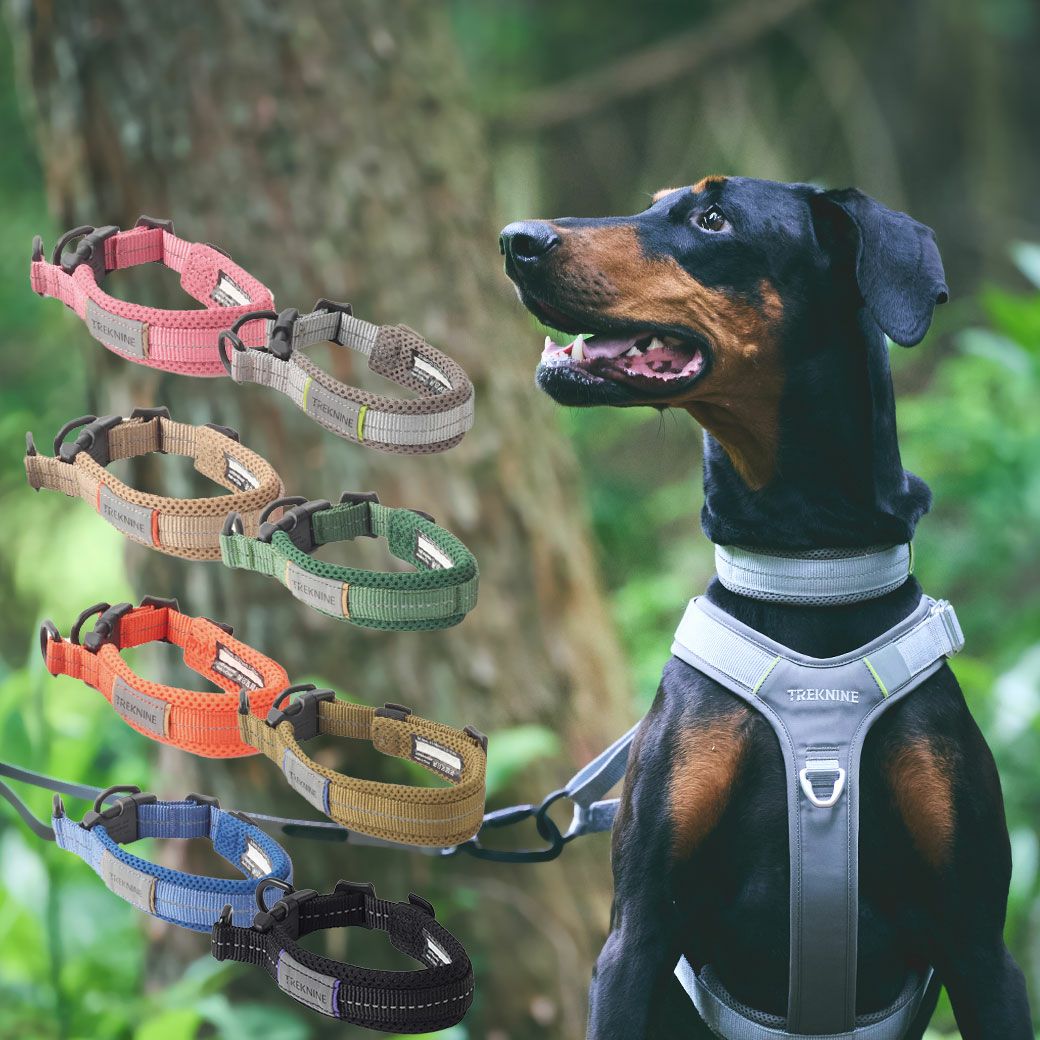 iDog TREKNINE|カラー|ダブルリングメッシュパッド M/Lサイズ トレック