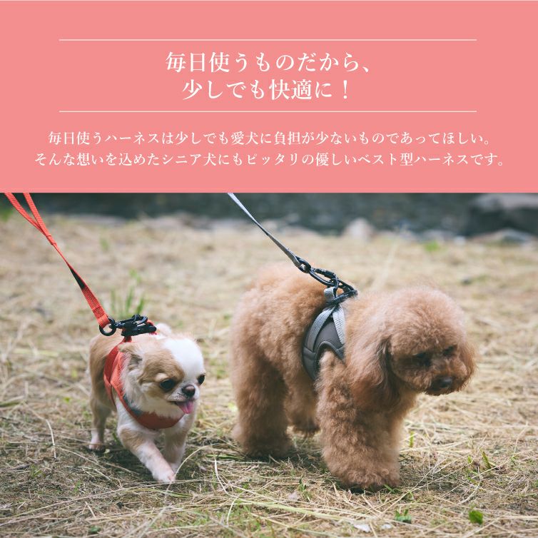 犬 ハーネス 】iDog TREKNINE ハーネス コンフォートAIR ベスト XS/S