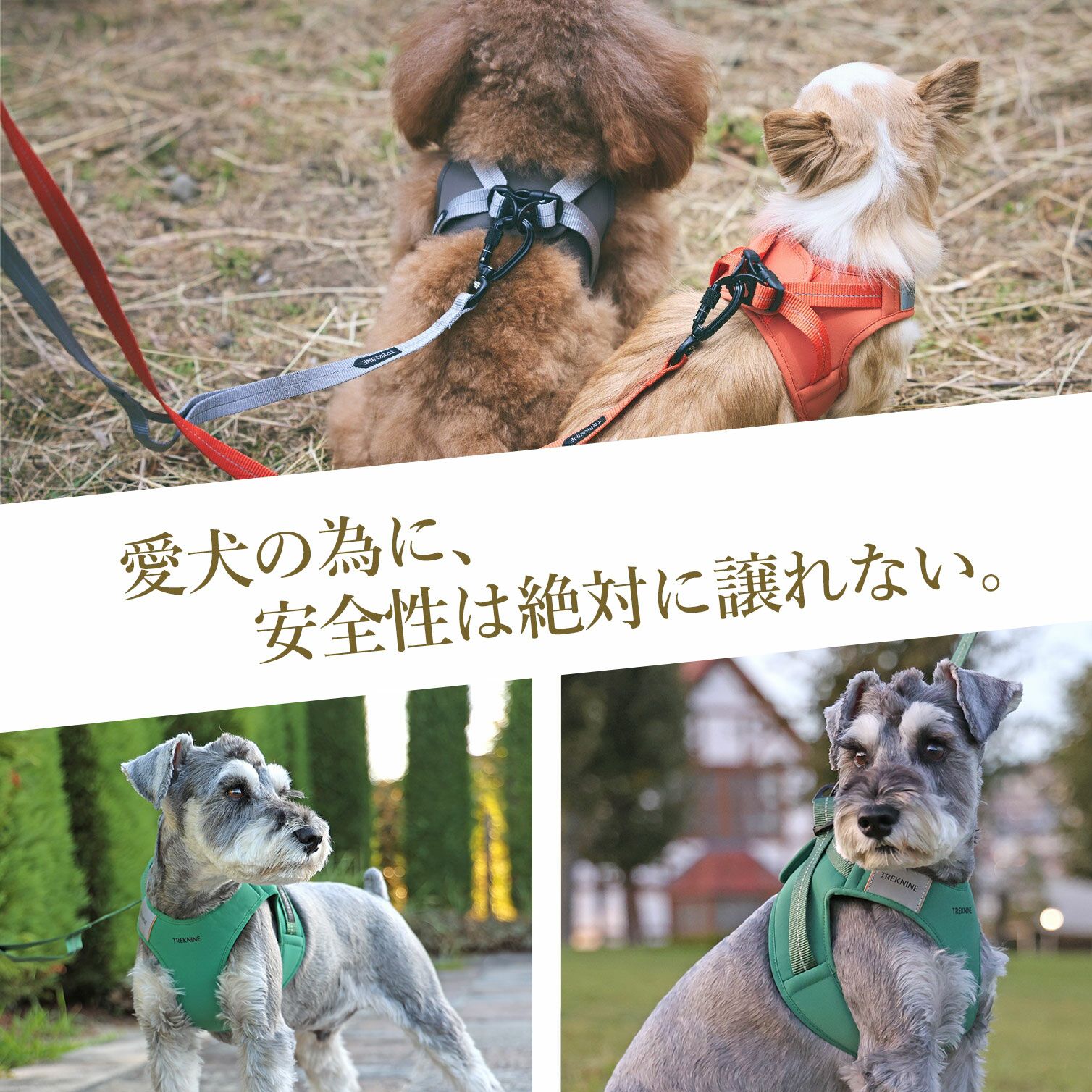 犬 ハーネス 】iDog TREKNINE ハーネス コンフォートAIR ベスト XS/S