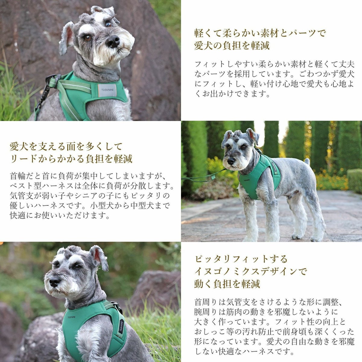 イヌゴノミクスデザインで負担を軽減