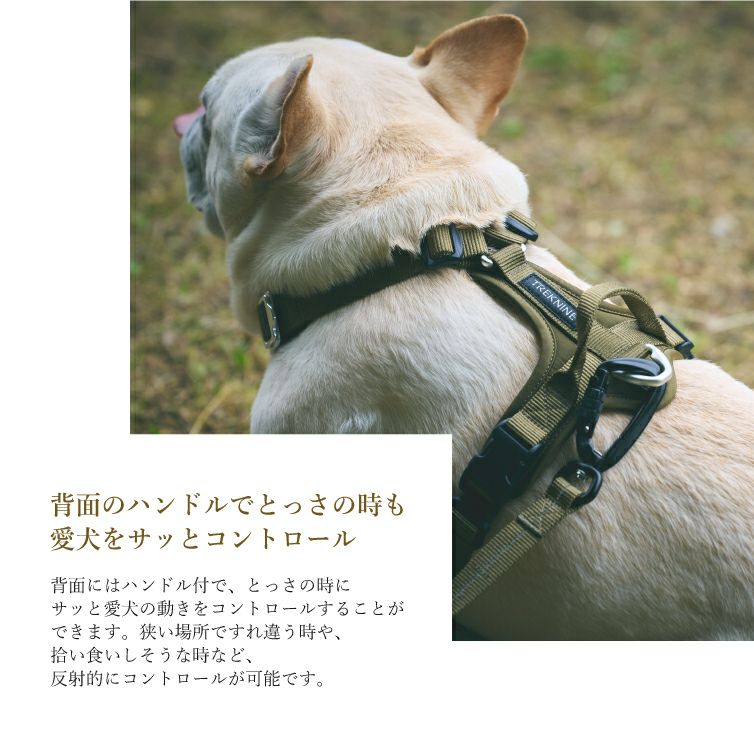 iDog TREKNINE|ハーネス|コンフォートフィット S/Mサイズ トレック