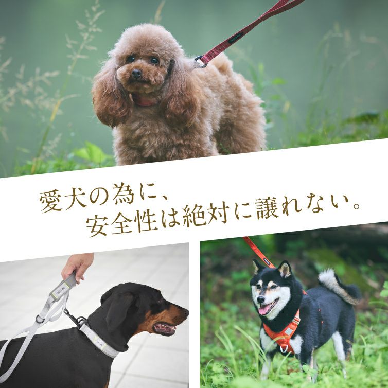 iDog TREKNINE|コンフォートリード トレックナイン アイドッグ