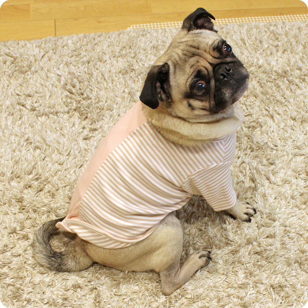 犬服♡アン iDog UNAGE ウェルネスウェア 背中開きTシャツ アイドッグ-犬猫ペット