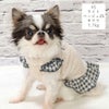 チワワ1.7kg(首18/胴27.5/丈18cm)の小真知ちゃんはライトベージュ25のXSを着用