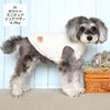 ミニチュアシュナウザー4.9kg(首23/胴40/丈30cm)のあろあちゃんはホワイトのMを着用