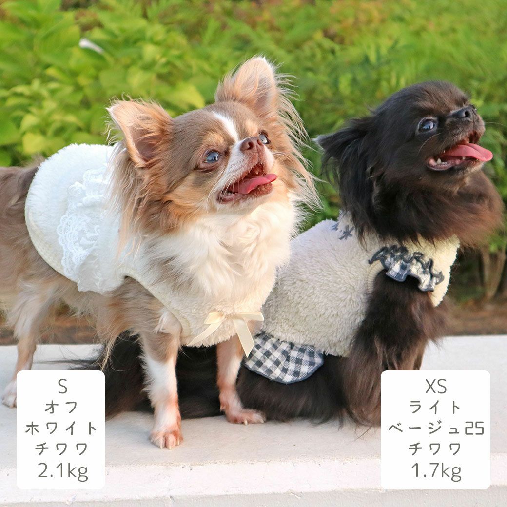 チワワ2.1kg(首19.5/胴30.5/丈22cm)の玉青ちゃん【手前】はオフホワイトのS、1.7kg(首19/胴28.5/丈21cm)の小桃ちゃん【奥】はライトベージュ25のXSを着用
