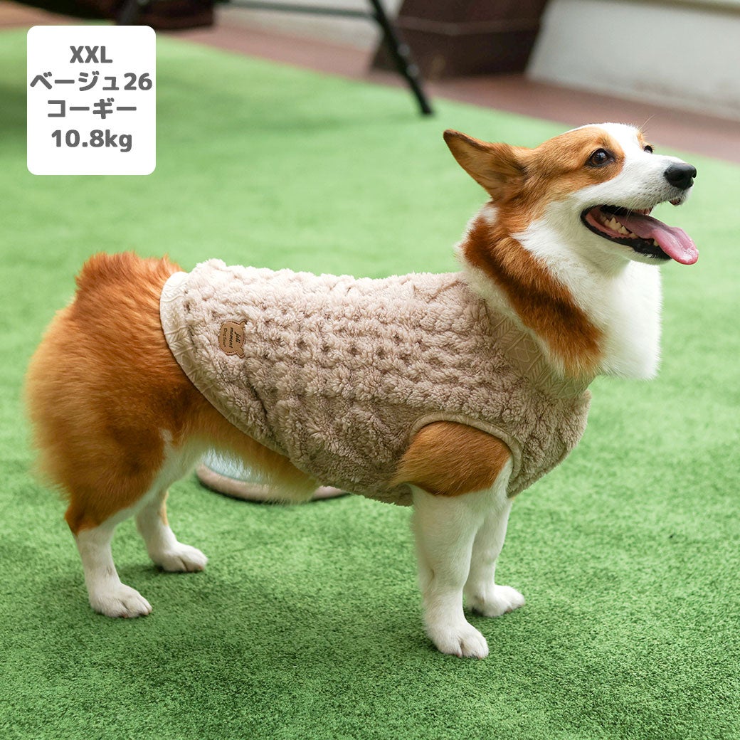 コーギー10.8kg(首37/胴52/丈40cm)のラテちゃんはベージュ26のXXLを着用