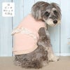 ミニチュアシュナウザー4.8kg(首22/胴39/丈29cm)のあろあちゃんはピーチのMを着用