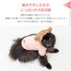 動きやすい工夫がいっぱいの犬用洋服